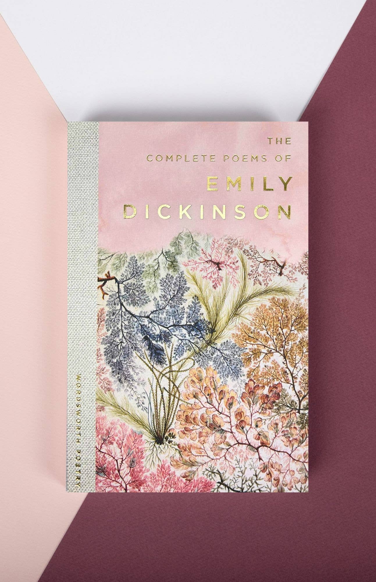 Wordsworth Editions - Utvalda dikter av Emily Dickinson (poesibok i pocketformat)