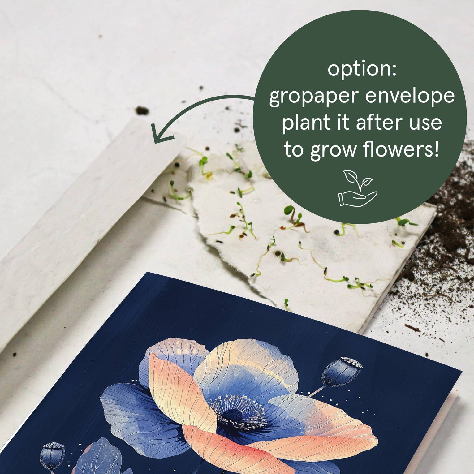 Vykort med vallmo från Botanopia